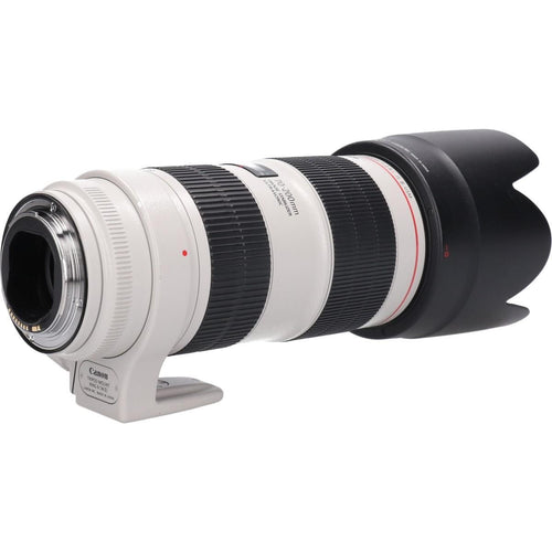 Canon Lens (Single Focus)