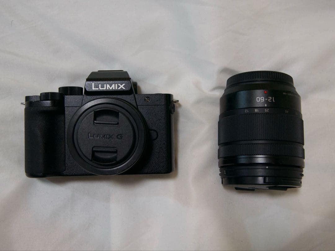 Panasonic Mirrorless Interchangeable Lips Lumix G100 12-60Mm