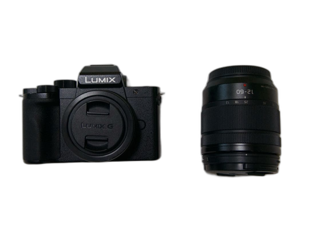 Panasonic Mirrorless Interchangeable Lips Lumix G100 12-60Mm