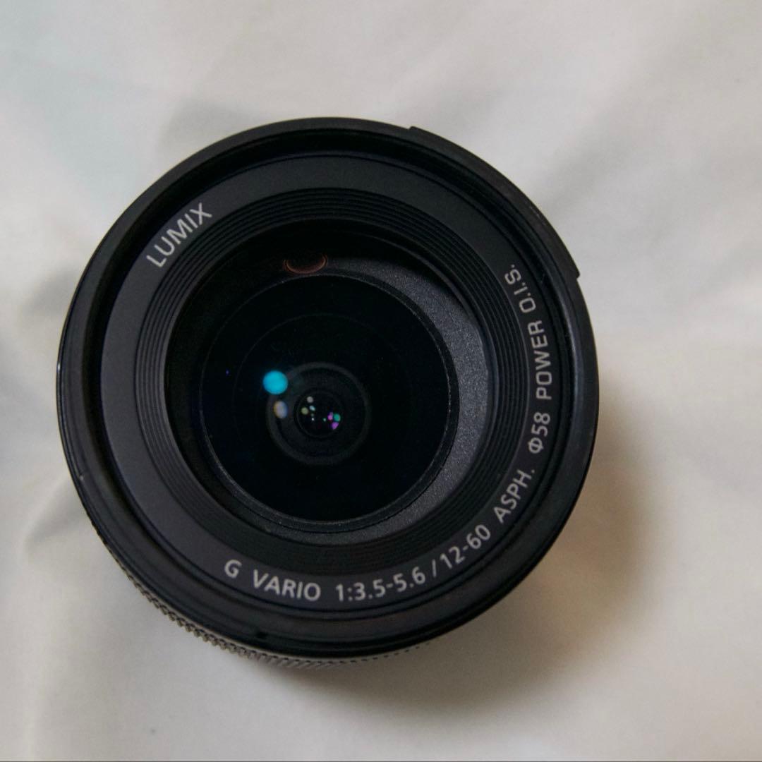 Panasonic Mirrorless Interchangeable Lips Lumix G100 12-60Mm