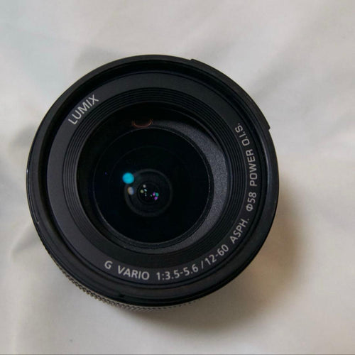 Panasonic Mirrorless Interchangeable Lips Lumix G100 12-60Mm