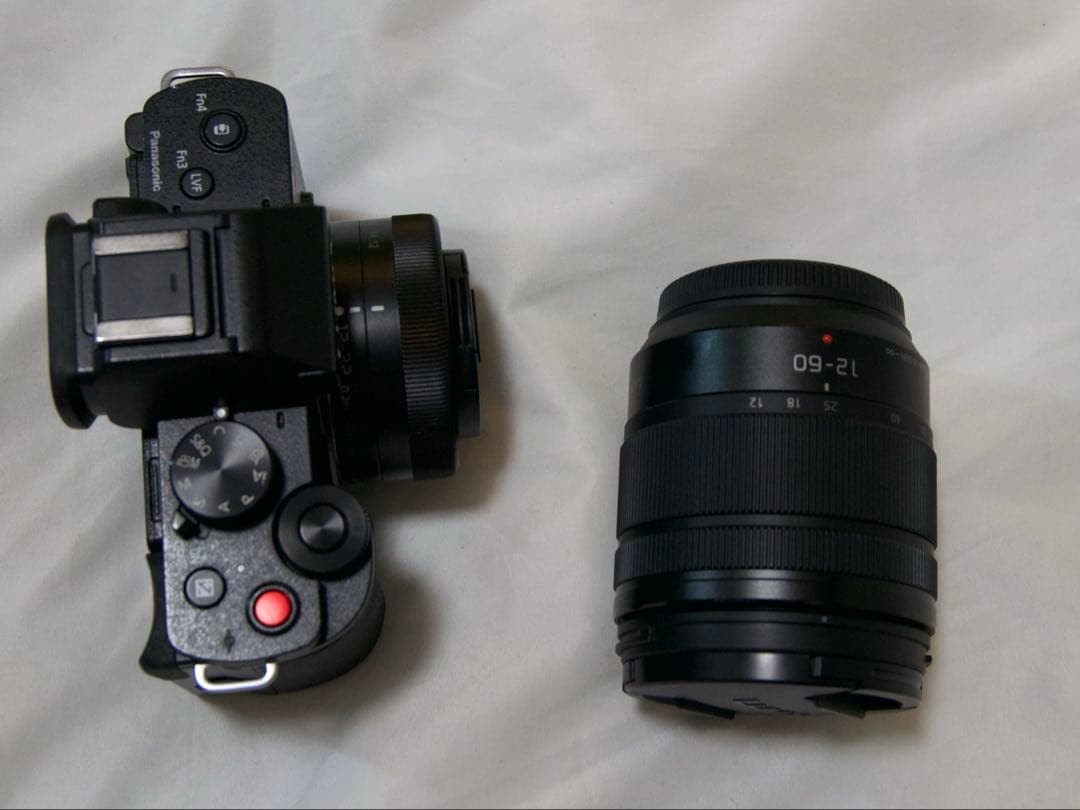 Panasonic Mirrorless Interchangeable Lips Lumix G100 12-60Mm