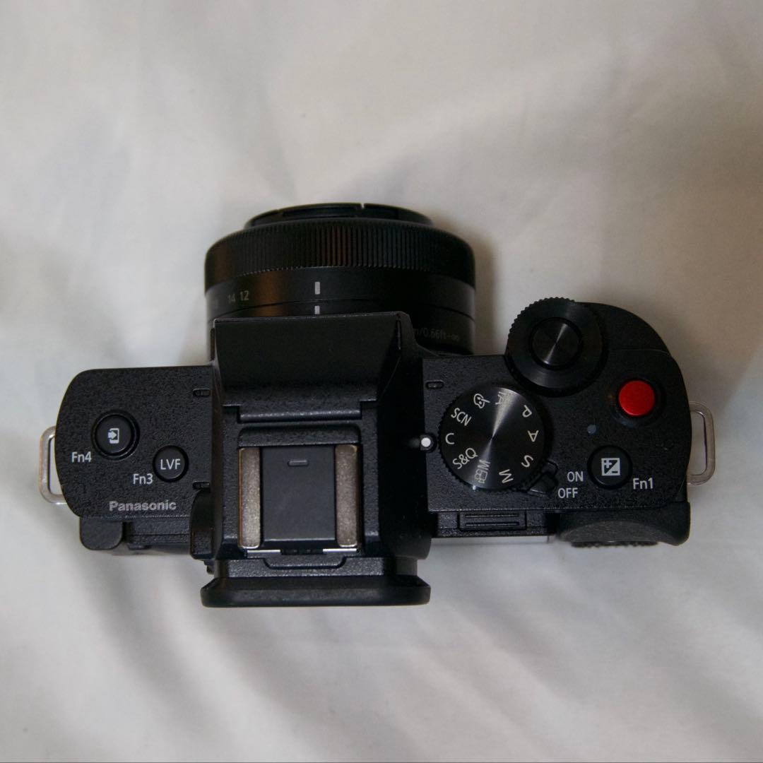 Panasonic Mirrorless Interchangeable Lips Lumix G100 12-60Mm