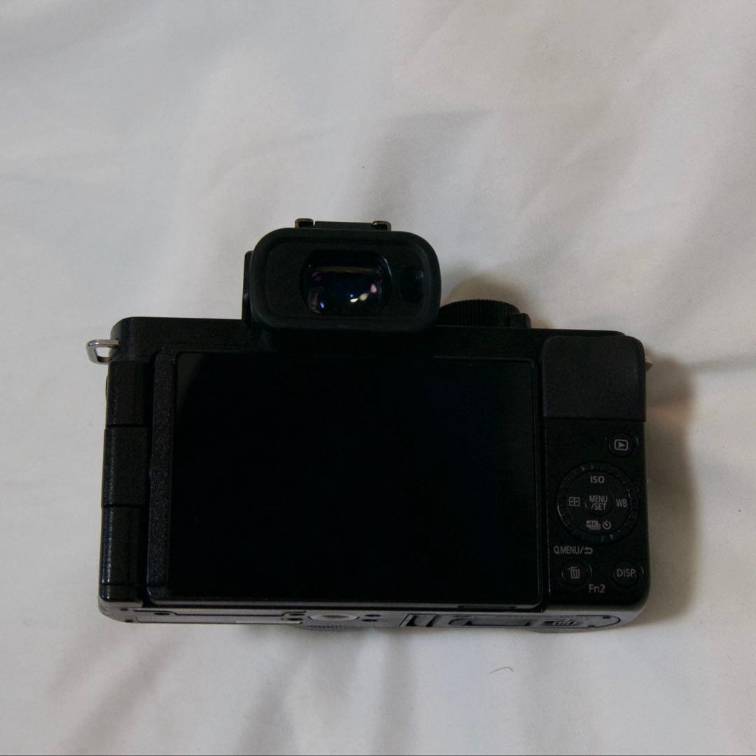 Panasonic Mirrorless Interchangeable Lips Lumix G100 12-60Mm