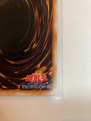 Yu-Gi-Oh! Ocg Duel Monsters (Japanese)