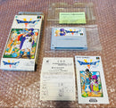 Nintendo Games V Dqv