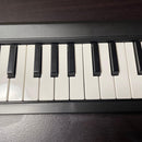 Korg Midi Keyboards Pads Microkey2-49