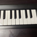 Korg Midi Keyboards Pads Microkey2-49