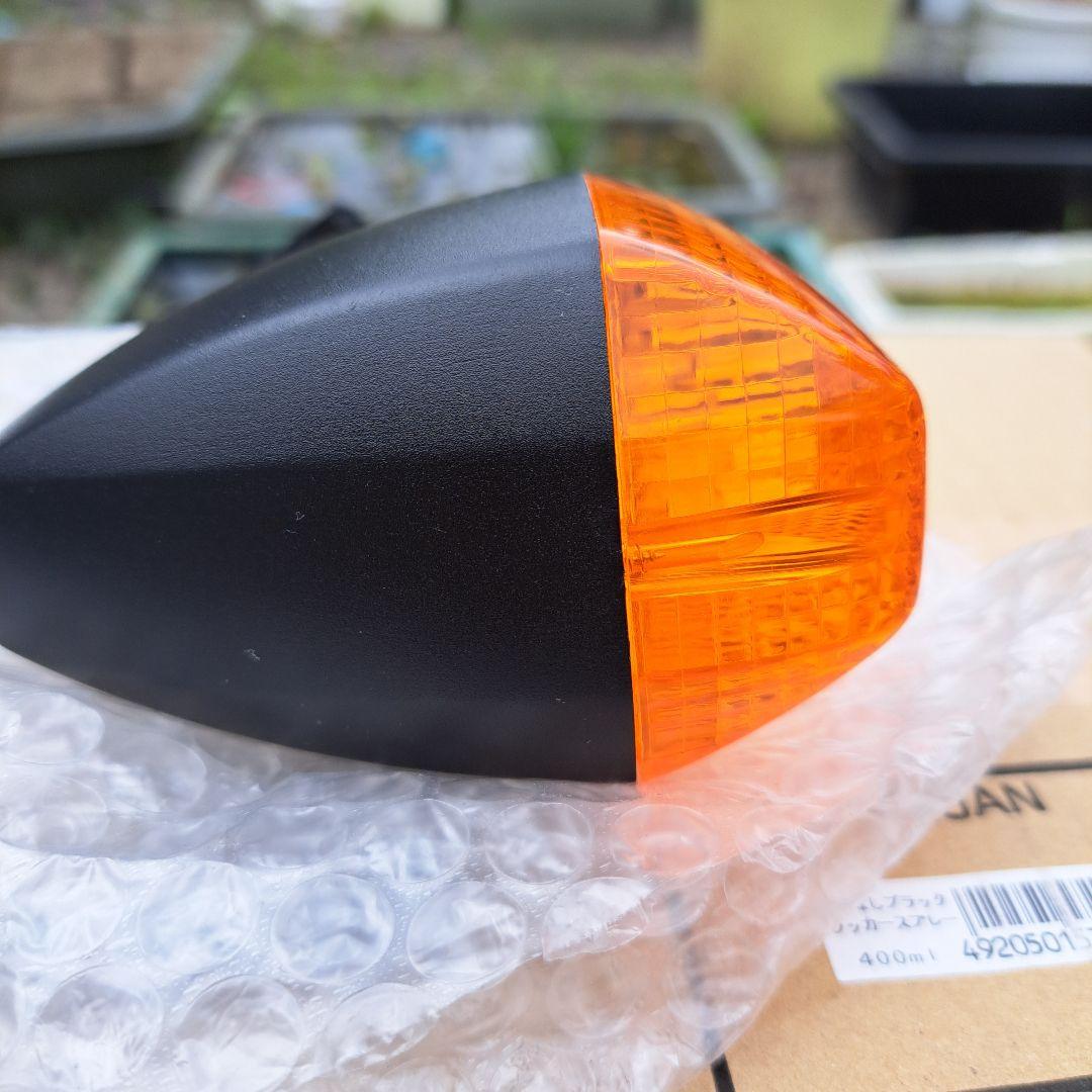 Light Winker Zrx400