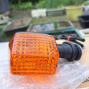Light Winker Zrx400