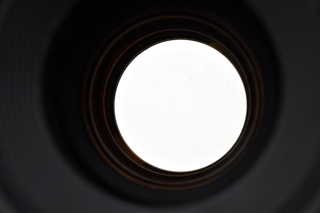 Canon Prime Lenses Ef 100Mmf2.8 Macro#2059