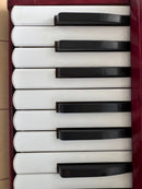 Yamaha Accordions 32 21 8905