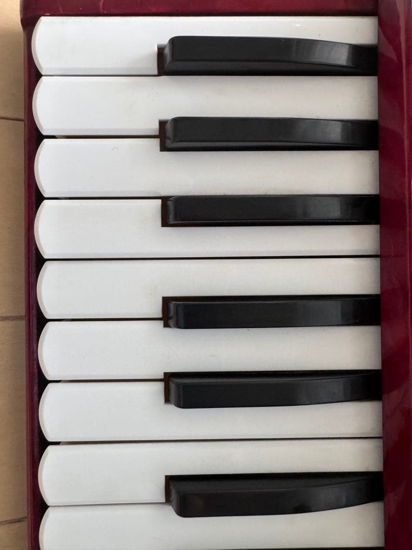 Yamaha Accordions 32 21 8905