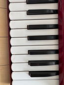 Yamaha Accordions 32 21 8905