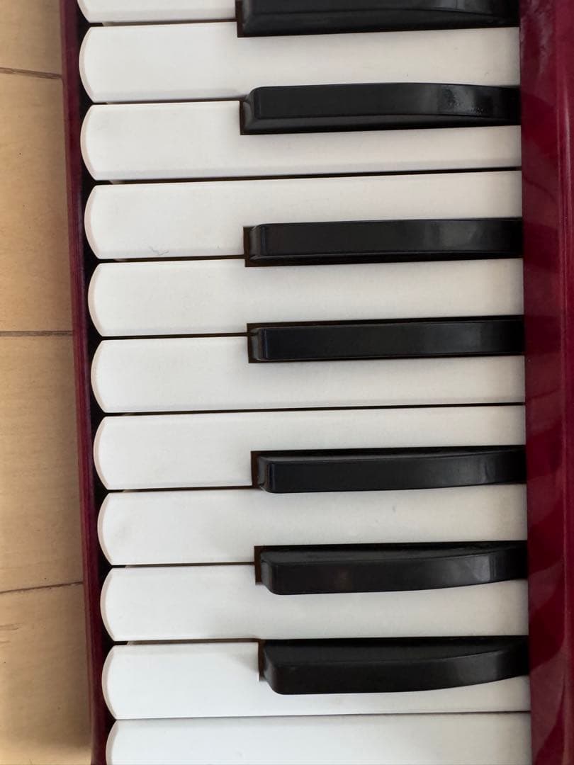 Yamaha Accordions 32 21 8905