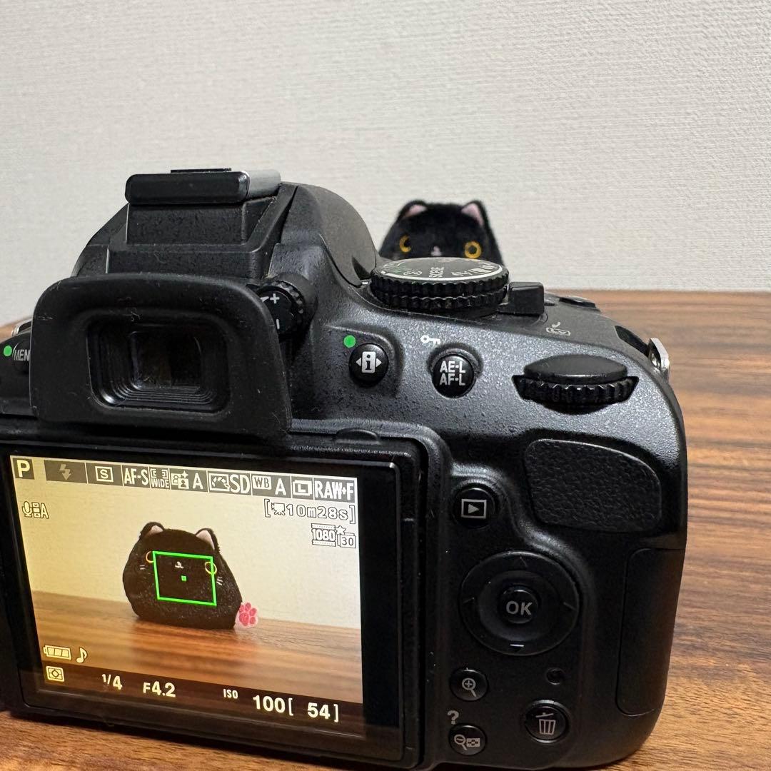 Nikon Digital Slrs D5100 18-55Mm