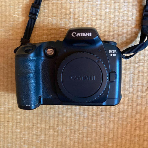 Canon Digital Slr Eos D30