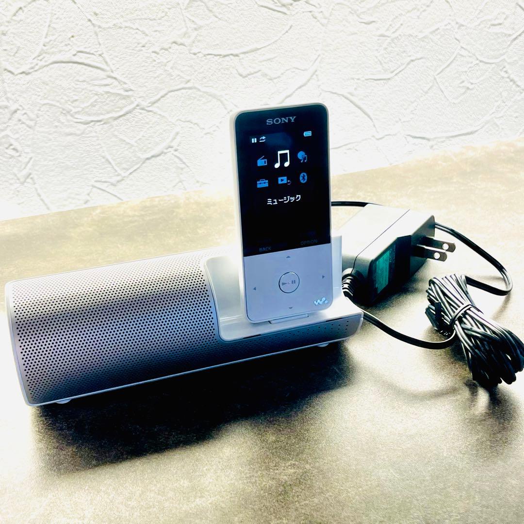 Sony Digital Audio Players Walkman Nw-S315