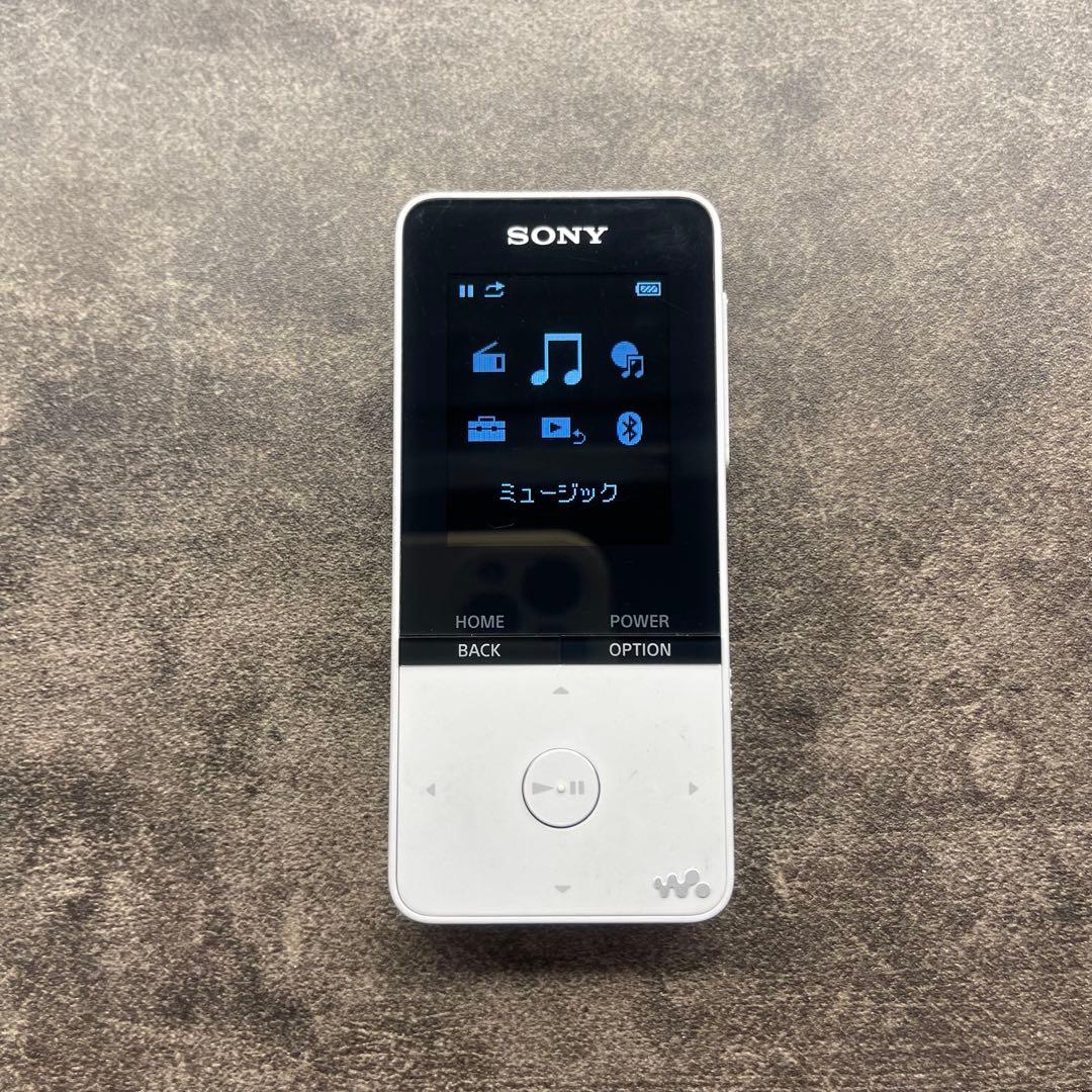 Sony Digital Audio Players Walkman Nw-S315