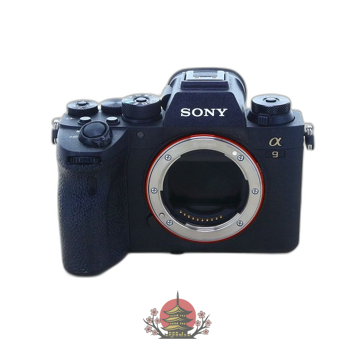 Sony Others Ilce-9M2 9 Ii