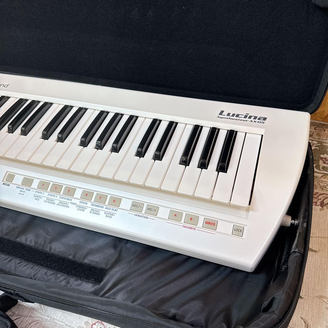 Other Roland Lucina Ax-09