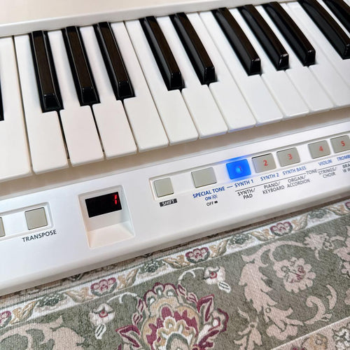 Other Roland Lucina Ax-09