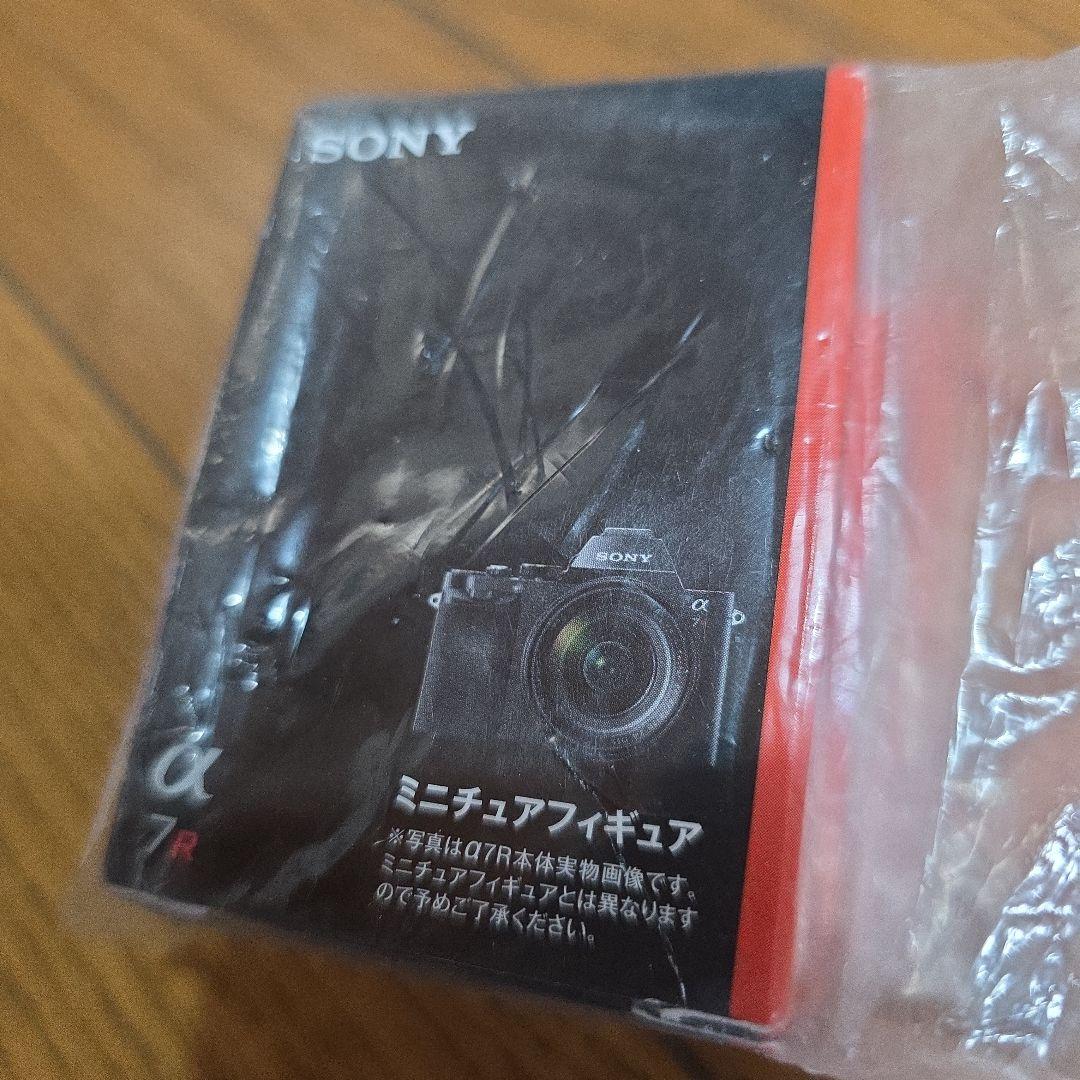 Sony Compact Digital Cameras 7R