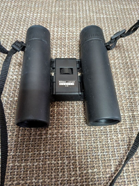 Nikon Binoculars Opera Glasses (20260409-2) 10X25