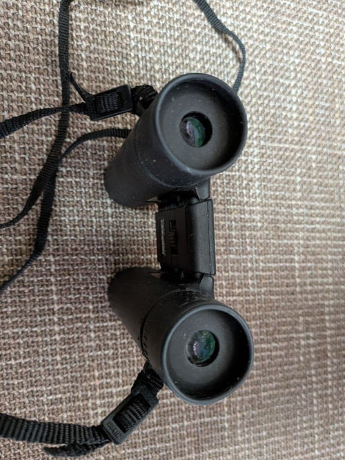 Nikon Binoculars Opera Glasses (20260409-2) 10X25