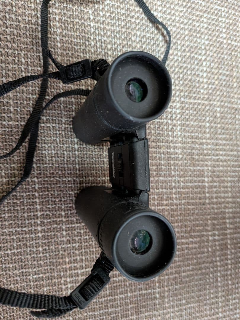 Nikon Binoculars Opera Glasses (20260409-2) 10X25