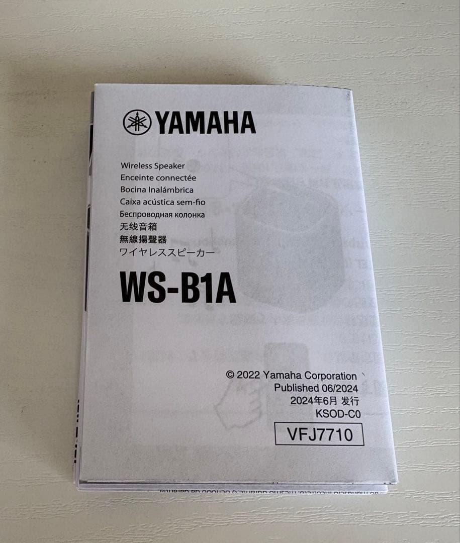 Yamaha Wireless Speakers Ws-B1A