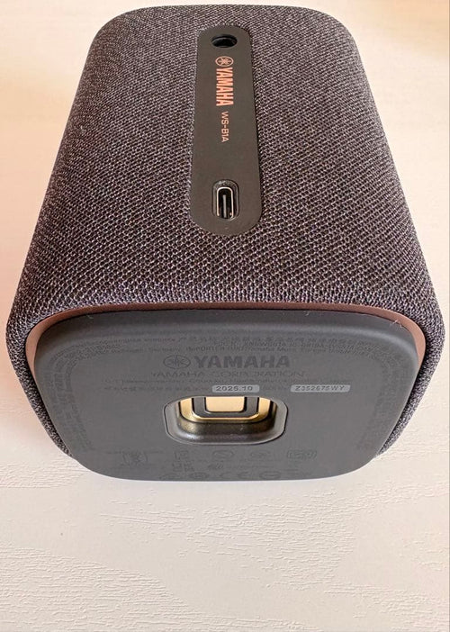 Yamaha Wireless Speakers Ws-B1A