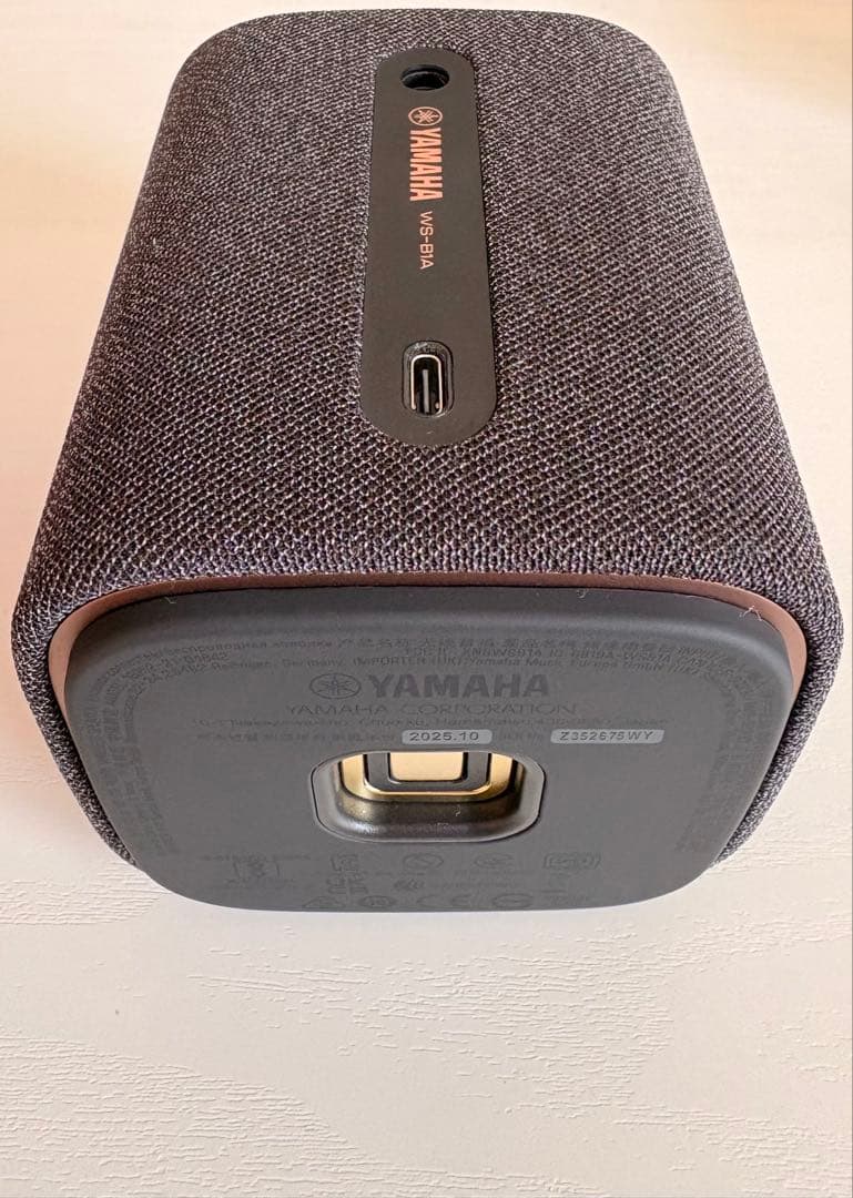 Yamaha Wireless Speakers Ws-B1A