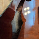 Yamaha Electric Guitars Sas1500
