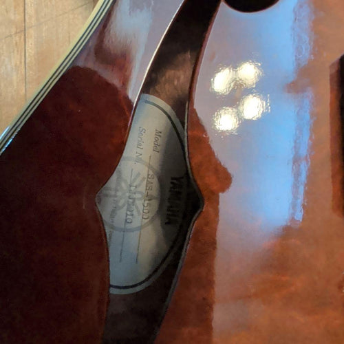 Yamaha Electric Guitars Sas1500