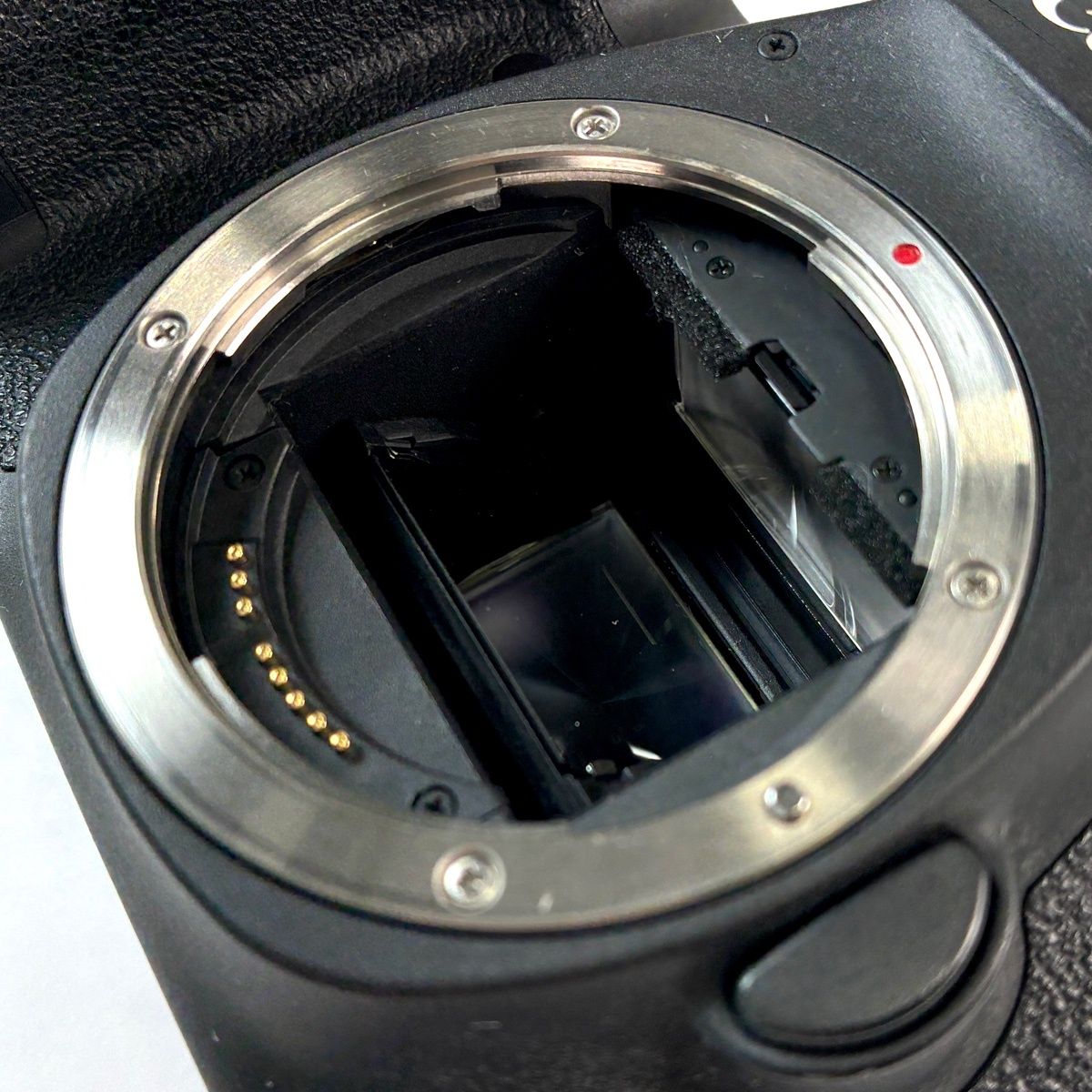 Canon Digital Slr Eos 6D