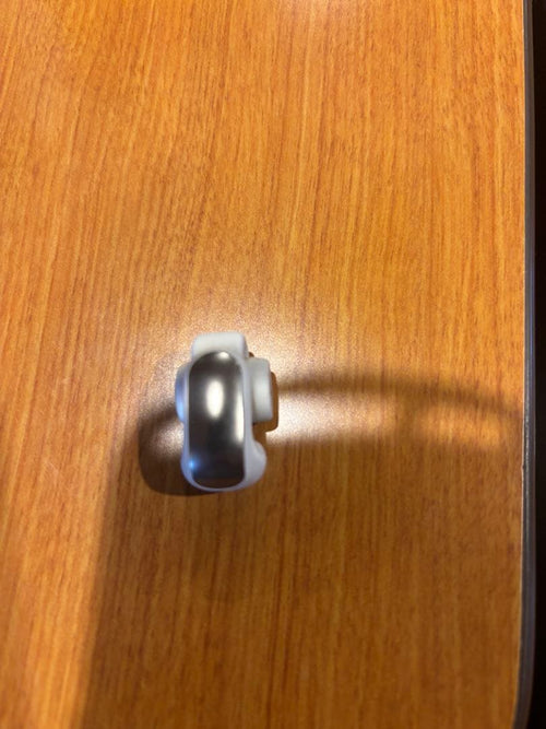 Bose Wireless Earphones