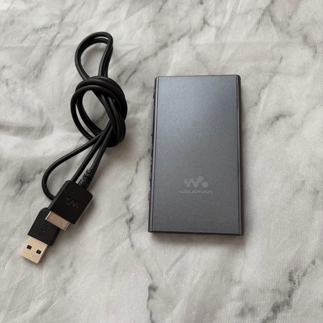 Digital Audio Players Sony Nw-A30Series