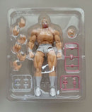 Bandai Other S.H.Figuarts