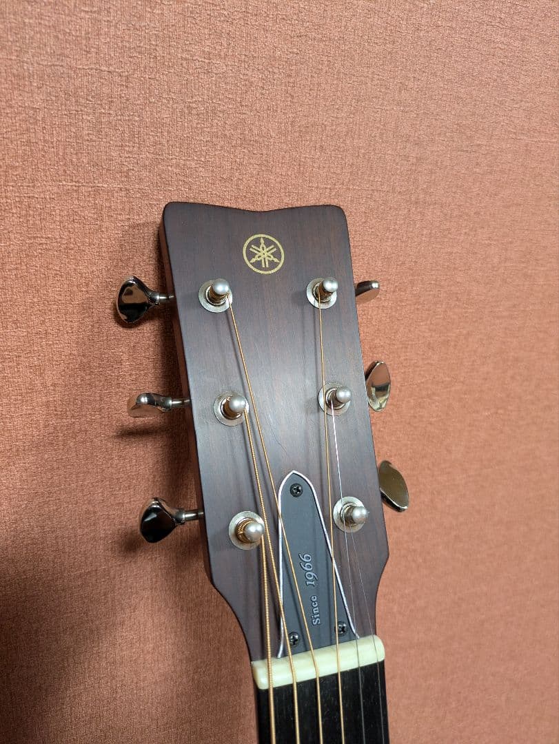 Yamaha Acoustic Guitars Fgx5 12
