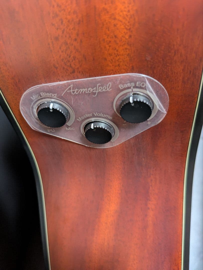 Yamaha Acoustic Guitars Fgx5 12