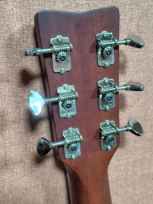 Yamaha Acoustic Guitars Fgx5 12
