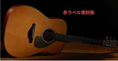Yamaha Acoustic Guitars Fgx5 12
