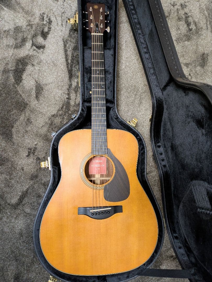 Yamaha Acoustic Guitars Fgx5 12