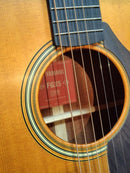 Yamaha Acoustic Guitars Fgx5 12