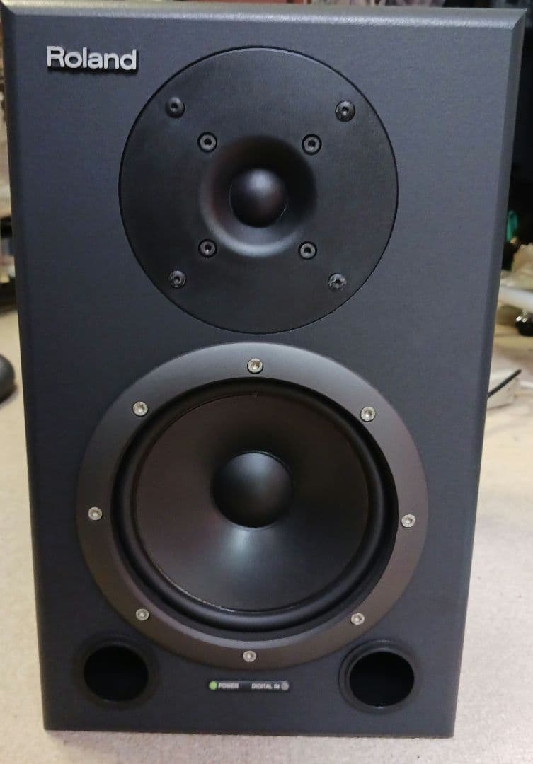 Roland Studio Monitor Speaker Bi-Amp Ds-90A 1