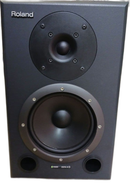 Roland Studio Monitor Speaker Bi-Amp Ds-90A 1