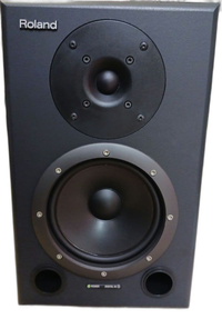 Roland Studio Monitor Speaker Bi-Amp Ds-90A 1