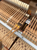 Grand Piano C7 2 1971