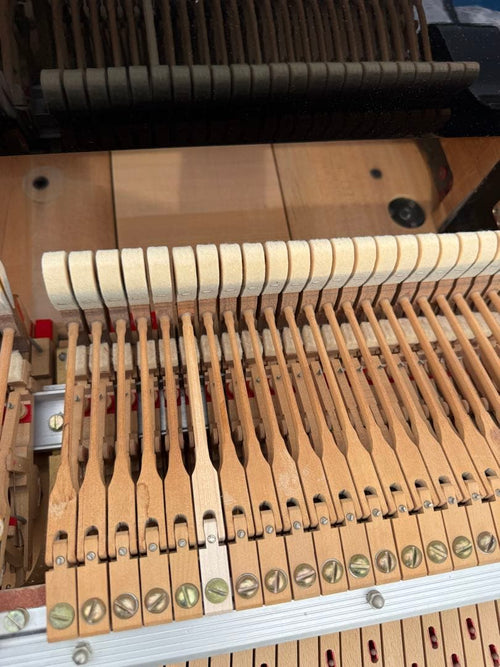 Grand Piano C7 2 1971